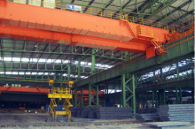 WEIHUA Overhead Crane with Clamps